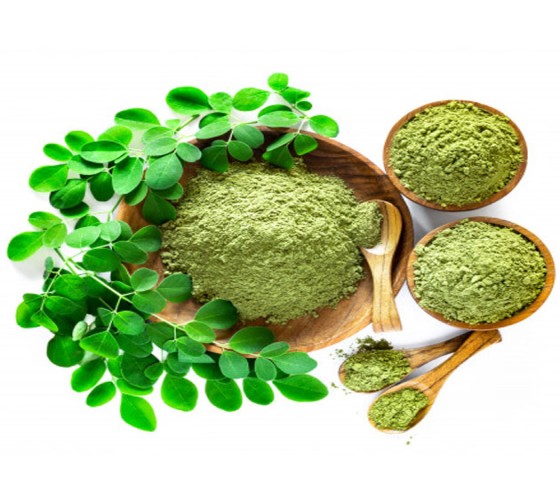 Moringa Seed exporter in india